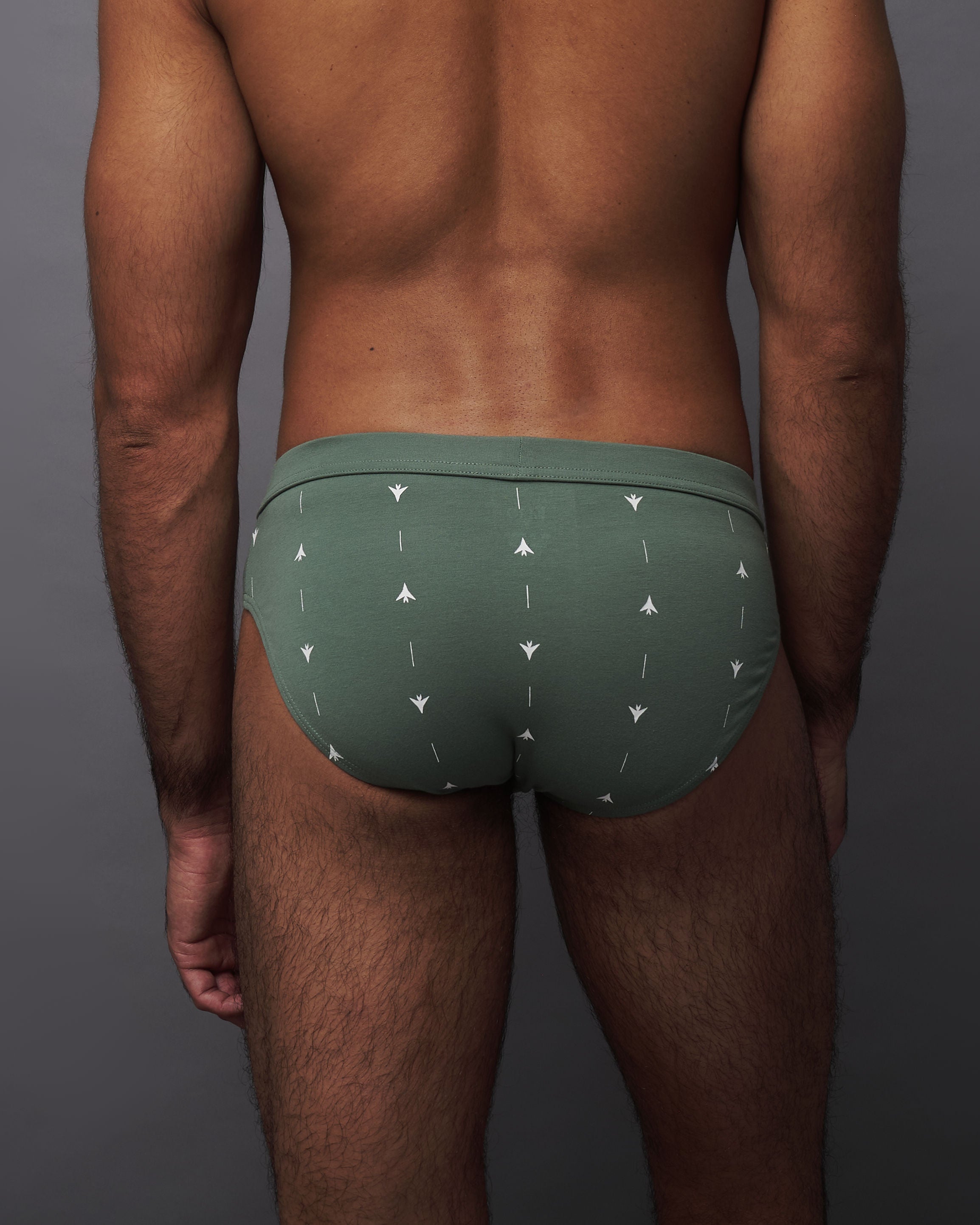 Classic Brief (Pine)